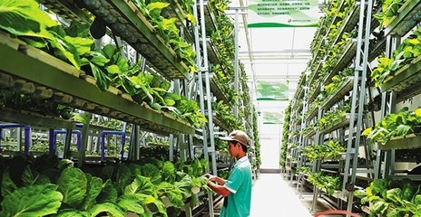 熱帶特色高效品牌互聯(lián)互通 海南“農(nóng)”字號(hào)借冬交會(huì)翩翩起舞