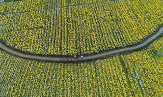 贛州農(nóng)業(yè)產(chǎn)業(yè)扶貧 水產(chǎn)養(yǎng)殖奏響攻堅(jiān)曲，扶出好“錢”景